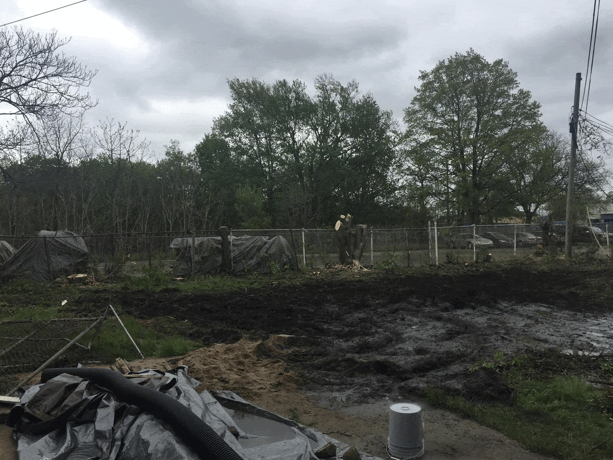 Burdick Backyard: Before & After