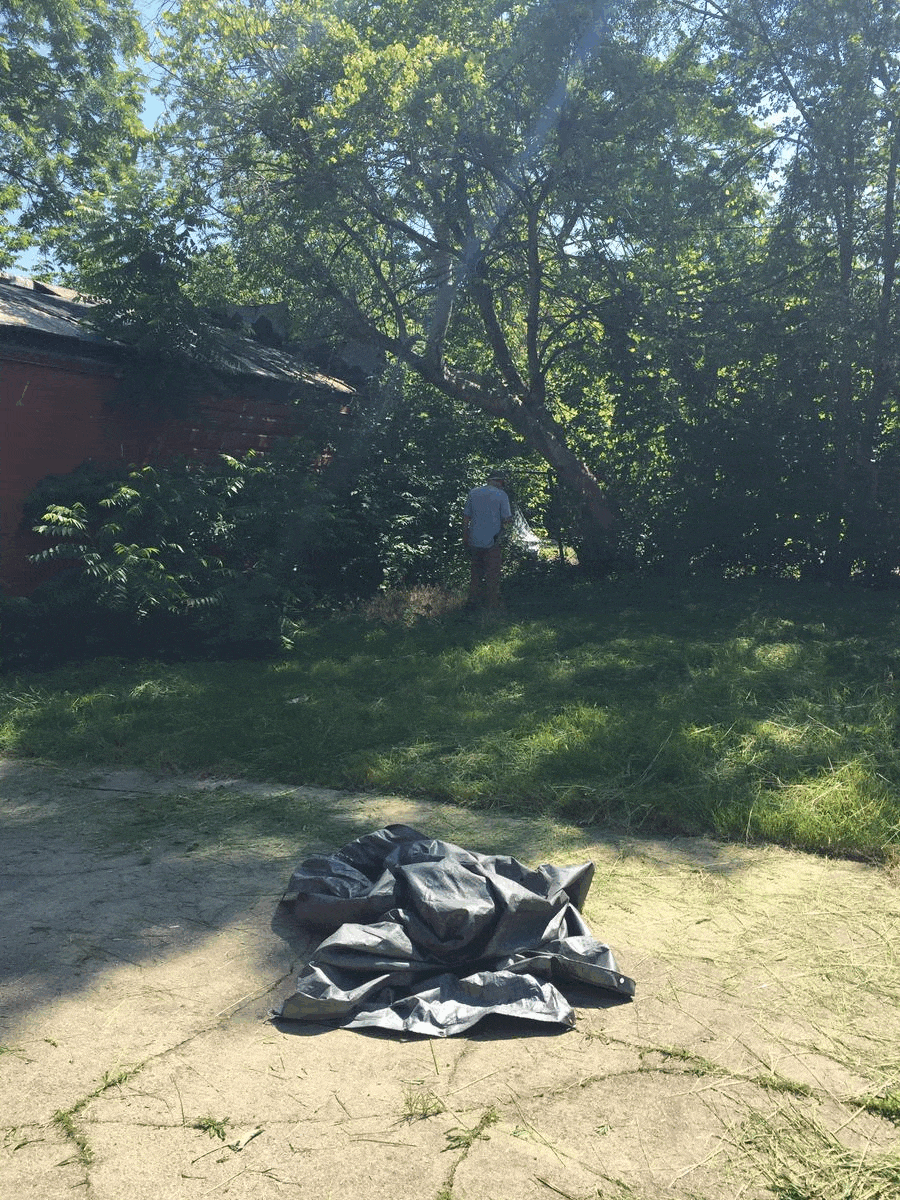 Mural: Before & After